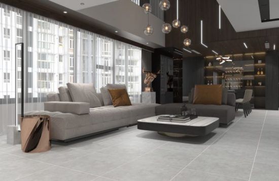 Gạch ốp lát đá mờ vân đá xám nhạt MOMENT010 - 60x60