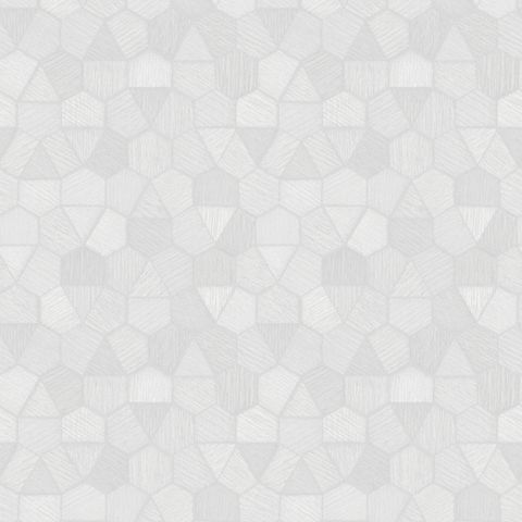  Giấy Dán Tường 98005-1-5 