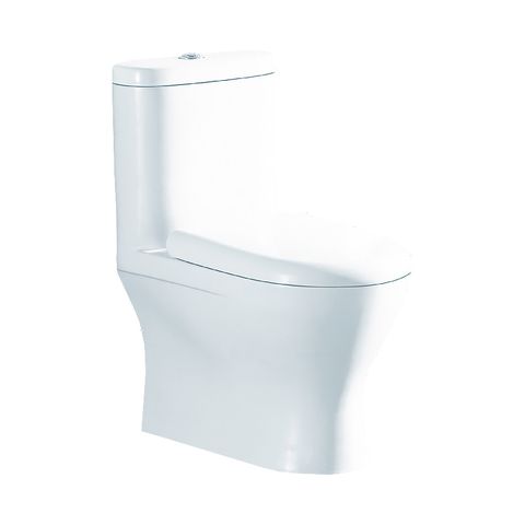  Bồn cầu liền khối AT1171 