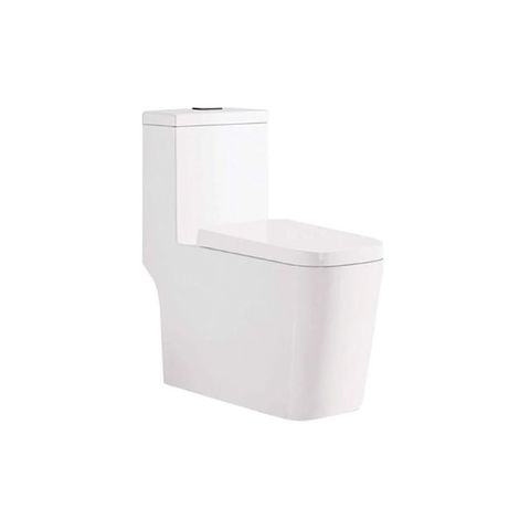  Bàn cầu liền khối AT1620 