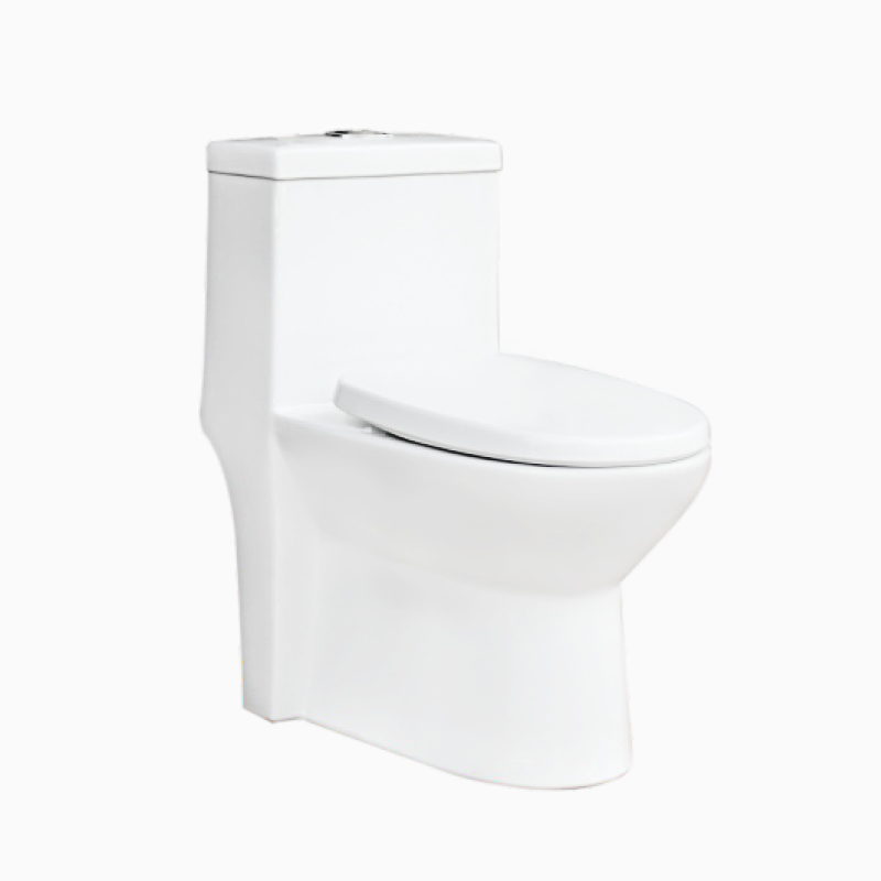 Bồn cầu liền khối WATER-CK67