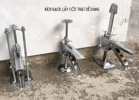  Con đội gạch trắng 