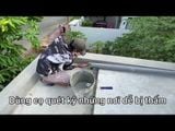 Chống thấm Perfect AB - 15kg