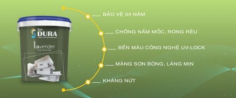  Sơn ngoại thất Chống Nấm Mốc & Rong Rêu Lavender 