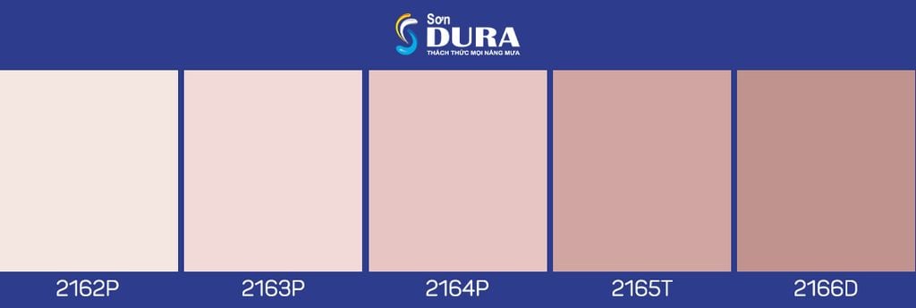 Màu hồng thời thượng và độc đáo