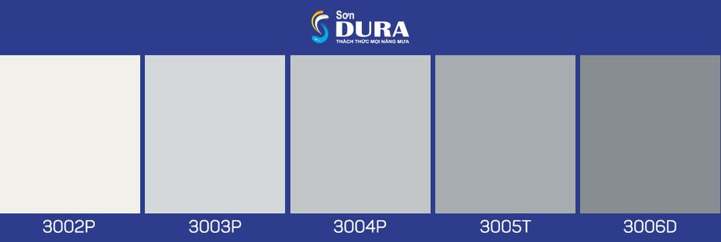Màu xám quyền lực
