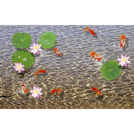 Gạch tranh cá chép NT-276