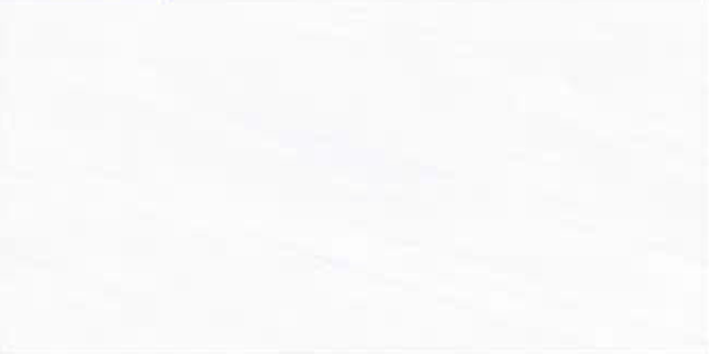 Gạch ốp men bóng vân mây xám viền hoa văn điểm bình hoa TN-HVZF - 40x80