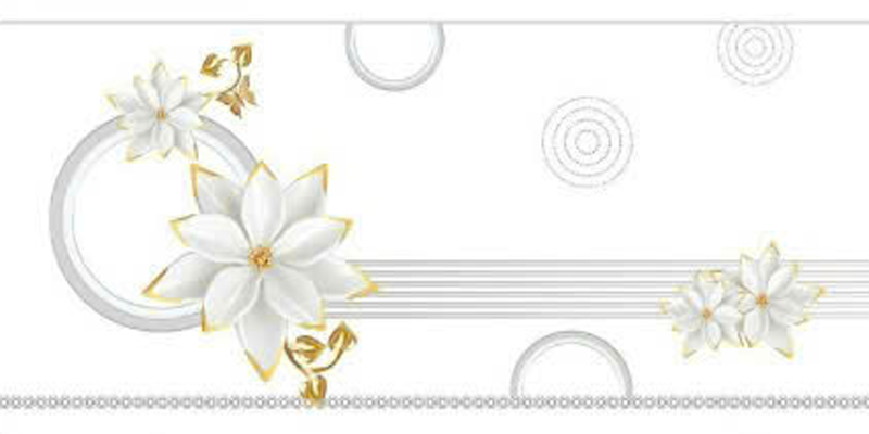 Gạch ốp men bóng trắng trơn viền hoa văn điểm bình hoa TN-HVZ - 40x80