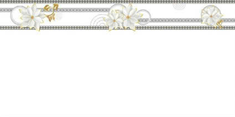 Gạch ốp men bóng trắng trơn viền hoa văn điểm bình hoa TN-HVZ - 40x80