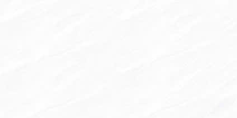 Gạch ốp men bóng vân mây xám điểm bình hoa TN-HVF - 40x80