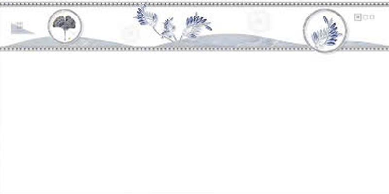 Gạch ốp men bóng trắng trơn viền hoa văn điểm bình hoa TN-HXZZ - 40x80