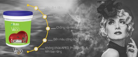  Sơn Vego nội thất bóng mờ cổ điển 