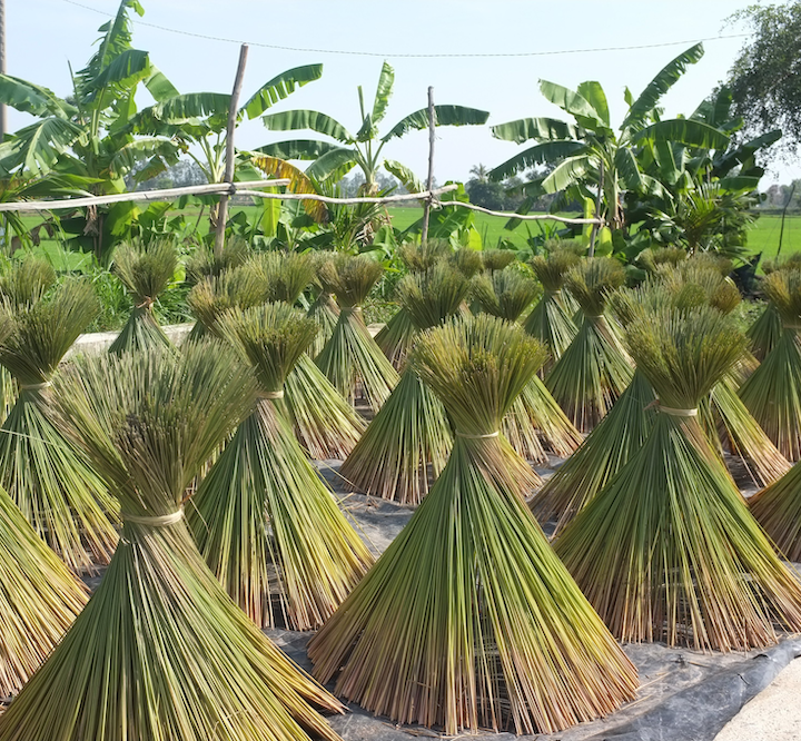 Grass Drinking Straws