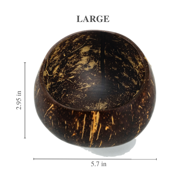 Coconut Shell Bowl