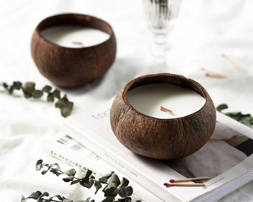 Coconut Shell Bowl