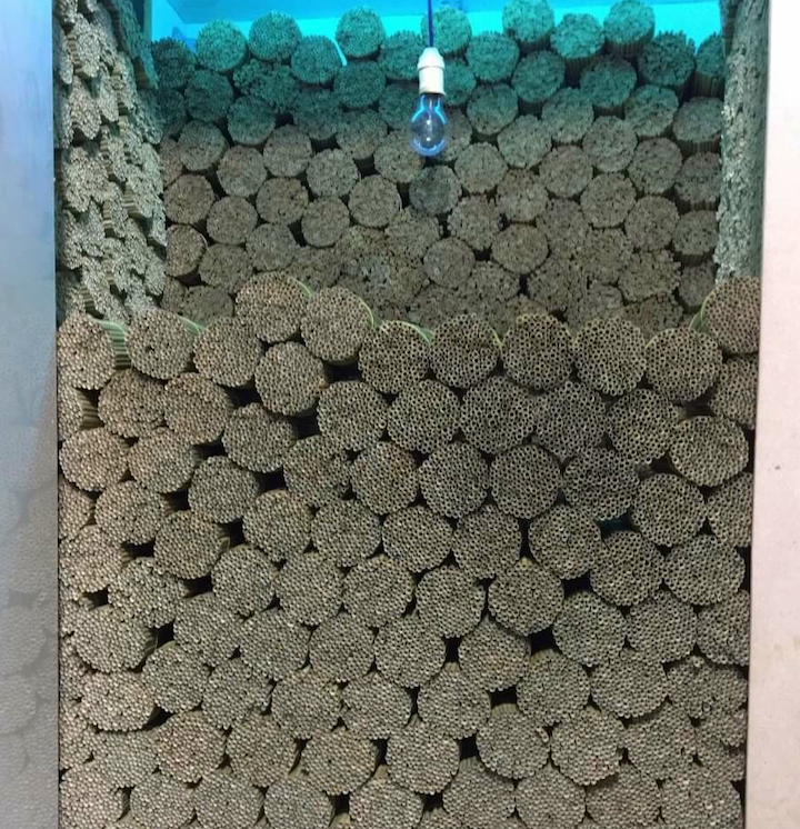 Grass Drinking Straws