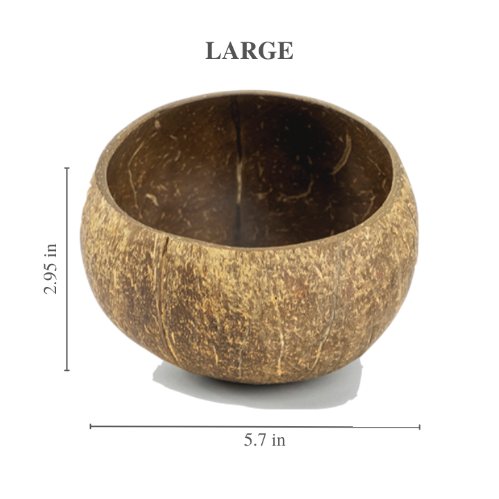 Raw Coconut Shell Bowl