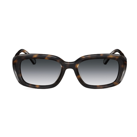 Kính Mát Unisex MOLSION MS3068 A20
