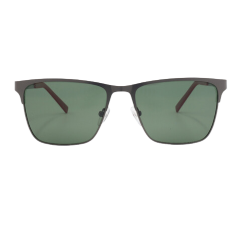 Kính Mát Nam ANCCI AC33219 C2