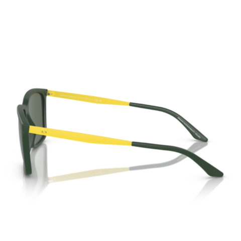 Kính Mát Nam ARMANI EXCHANGE 0AX4138SF 83017157