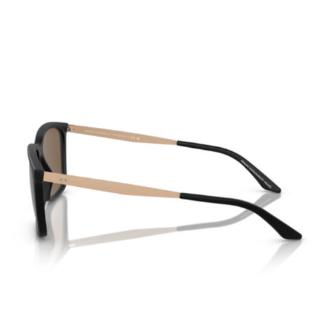 Kính Mát Nam ARMANI EXCHANGE 0AX4138SF 80787357