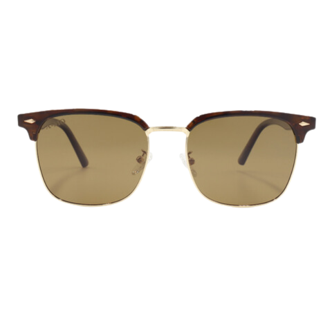 Kính Mát Nam AMO AMO41611 C3