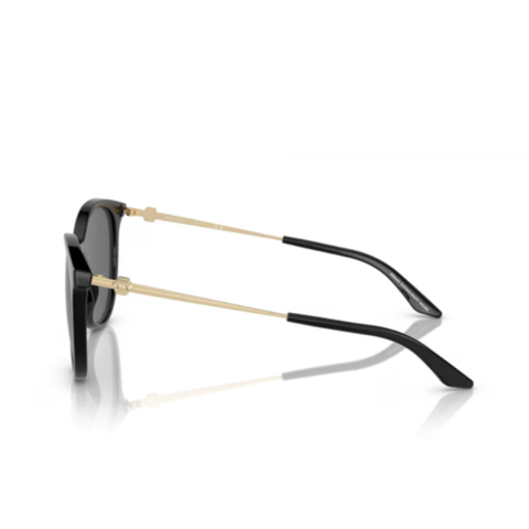 Kính Mát Nữ ARMANI EXCHANGE 0AX4140SF 81588756