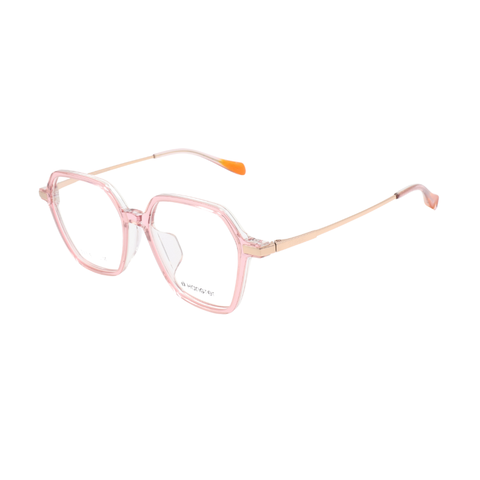 GỌNG KÍNH NỮ HANGTEN HT24413 C3