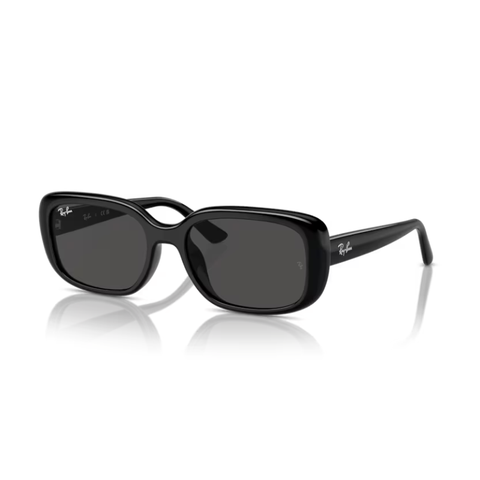 KÍNH MÁT UNISEX RAYBAN 0RB4421D 66778756
