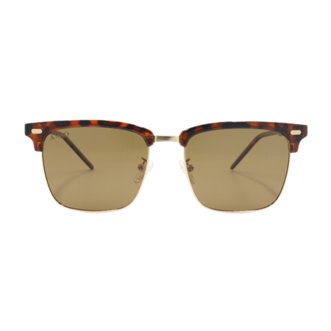 Kính Mát Nam AMO AMO41610 C4