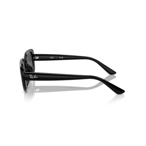 KÍNH MÁT UNISEX RAYBAN 0RB4421D 66778756