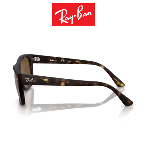Kính Mát Nam RAYBAN 0RB4428F 8945756