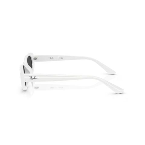 KÍNH MÁT UNISEX RAYBAN 0RB4441D 67728753