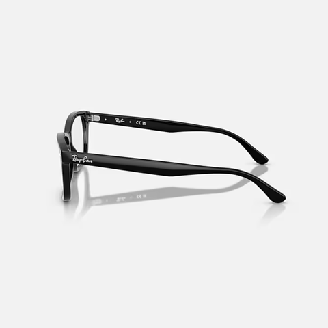 Gọng Kính Unisex RAYBAN 0RX5428F 200055