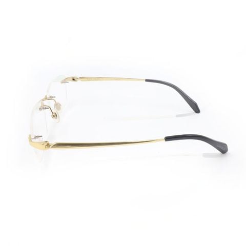 Gọng Kính Nam ALAIN DELON ADTLR8977 C1