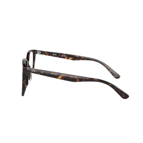 Gọng Kính Unisex RAYBAN 0RX5411D_201254.C