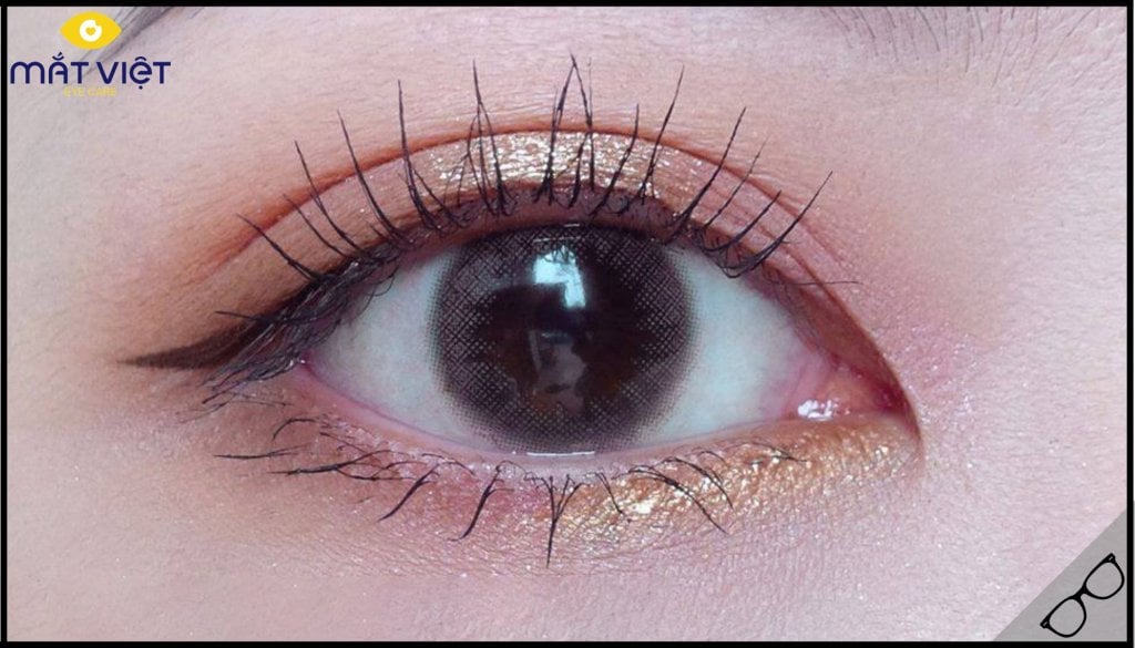 Lens màu choco Lens màu choco