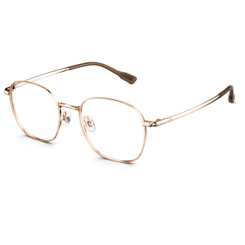 Gọng Kính Nam MOLSION MJ7363 B30