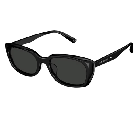 Kính Mát Unisex MOLSION MS3069 C10