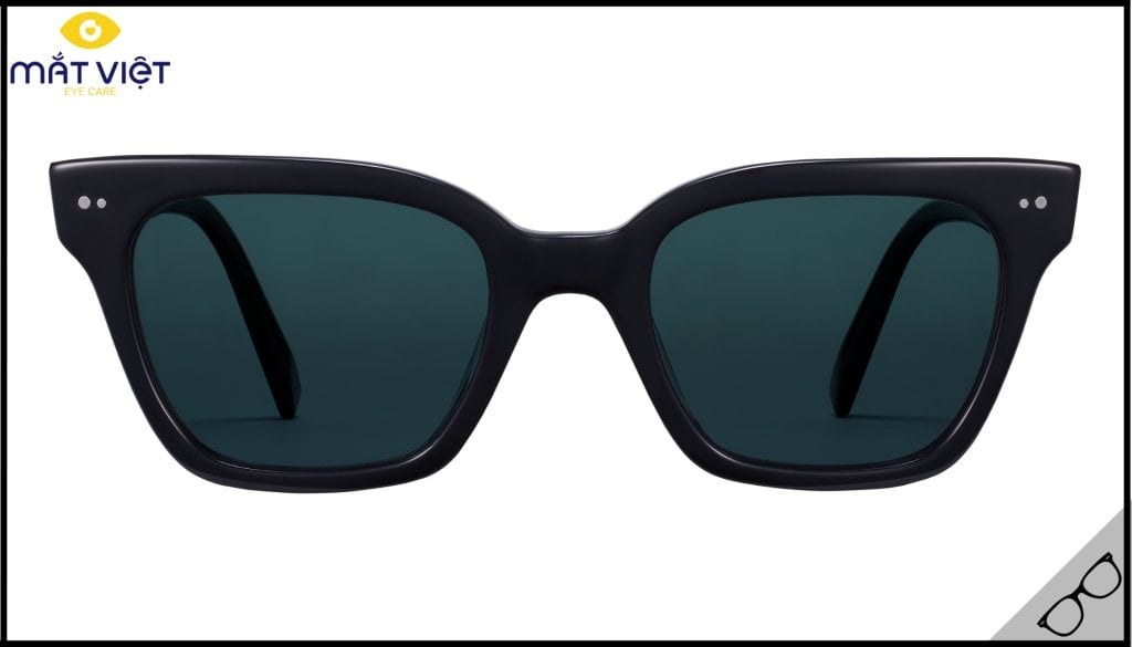 Mắt kính Polarized Warby Parker Beale Mắt kính Polarized Warby Parker Beale