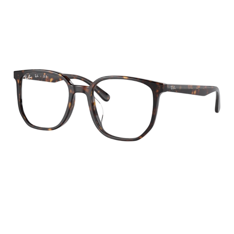 Gọng Kính Unisex RAYBAN 0RX5411D_201254.C