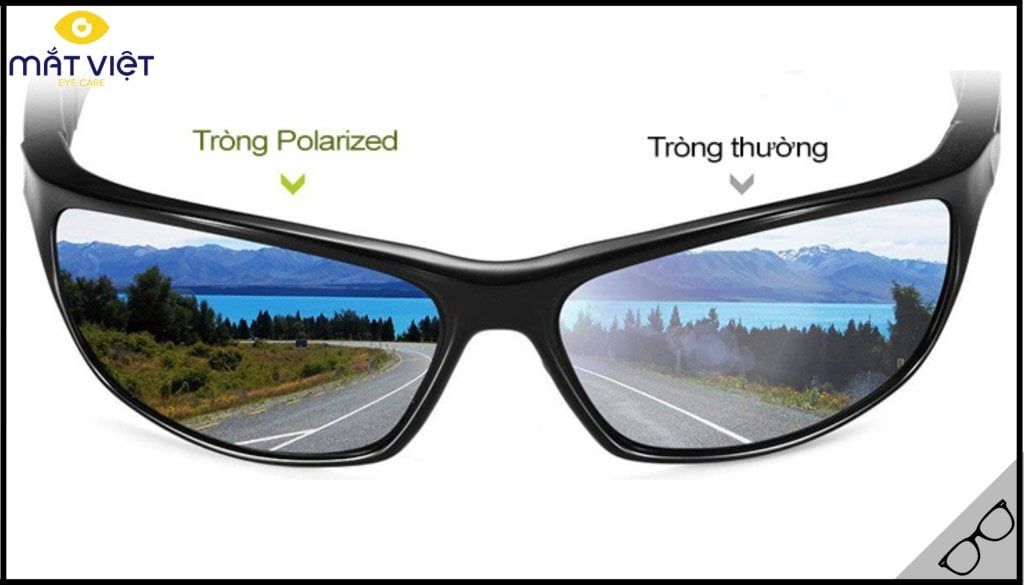 Ưu điểm kính Polarized