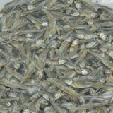  [Phú Quốc] Cá khô cơm biển phơi tàu 