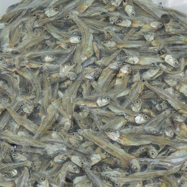  [Phú Quốc] Cá khô cơm biển phơi tàu 