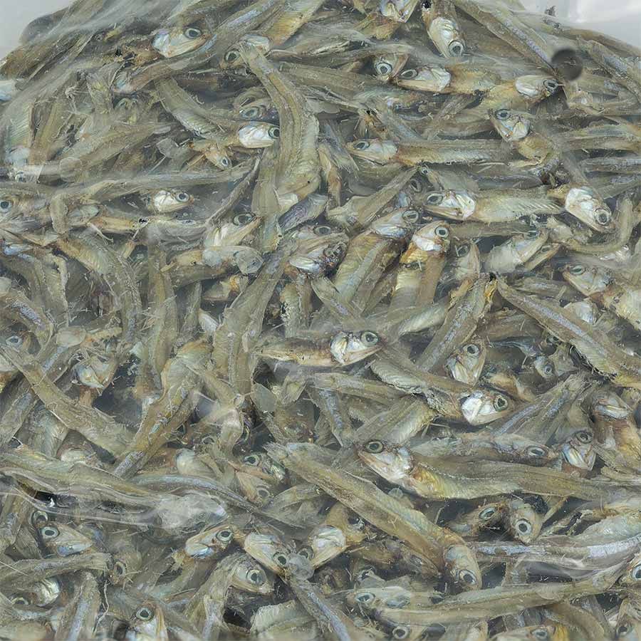  [Phú Quốc] Cá khô cơm biển phơi tàu 