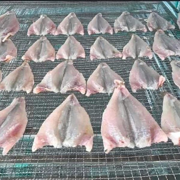  [Bà Rịa - Vũng Tàu] Cá đù xẻ phơi 1 nắng 