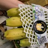  [Lâm Đồng] Chuối Laba 