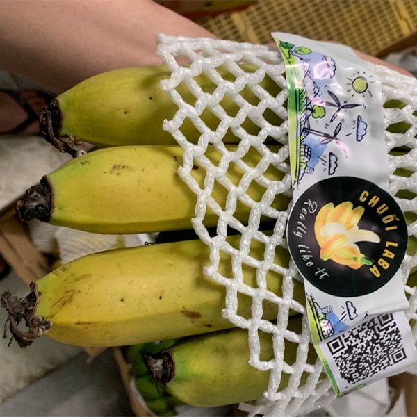  [Lâm Đồng] Chuối Laba 