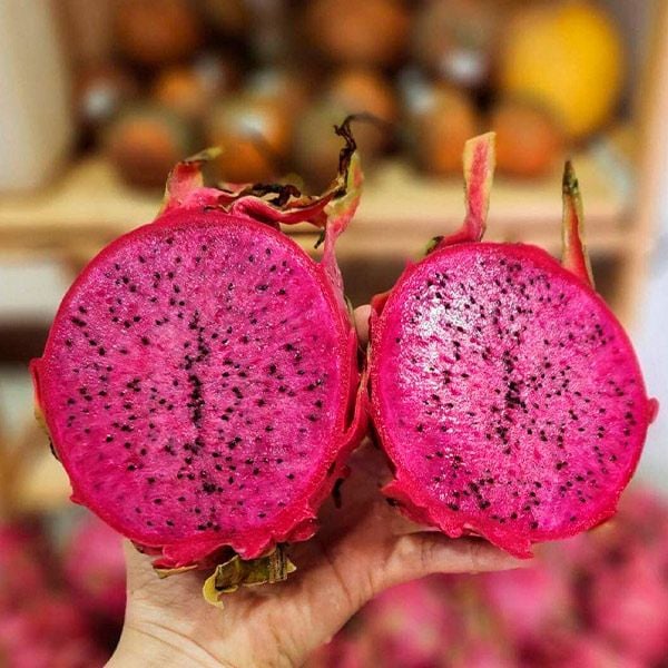  [Bình Thuận] Thanh long tím hồng Vinh Bách 